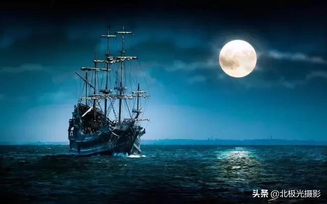 拍夜景鸟的正确方法,拍摄鸟类摄影欣赏