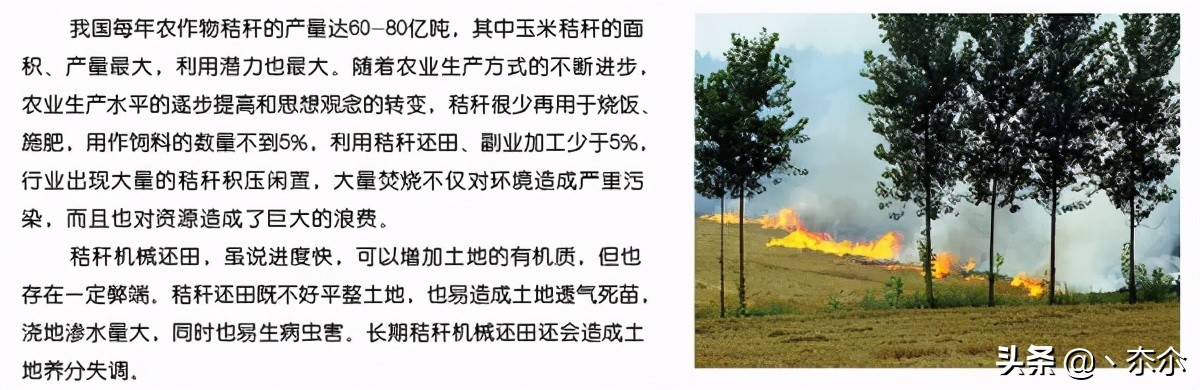 小型生物颗粒燃料加工厂投资多少,生物质燃料颗粒加工厂