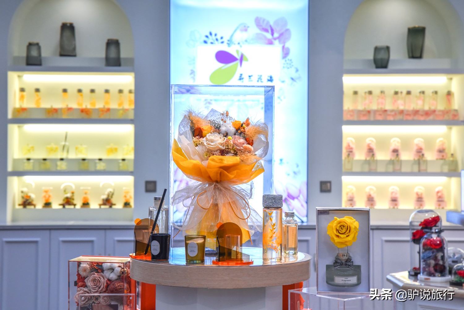 郁金香中国,中国郁金香第一花海