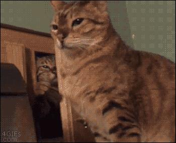 角质层怎么用视频教程,角质层薄怎么涂护肤品