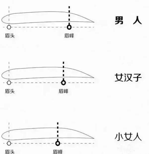 各种脸型所适合的眉形解析,8种脸型适合的眉形