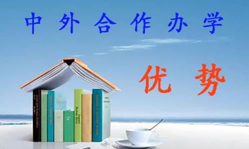 2021年中外合作办学大学有哪些,德州学院中外合作办学2020年学费