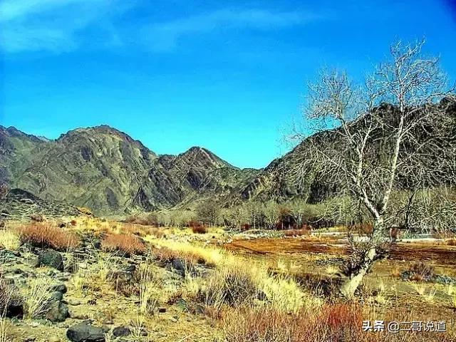 全新疆旅游景点有哪些,新疆带沟的旅游景点