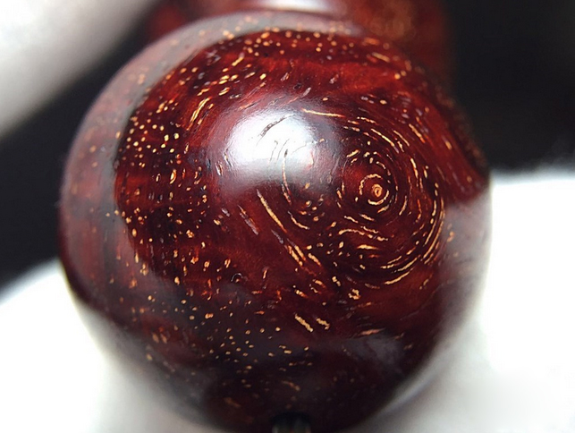 印度小叶紫檀森林视频,印度小叶紫檀秒懂百科