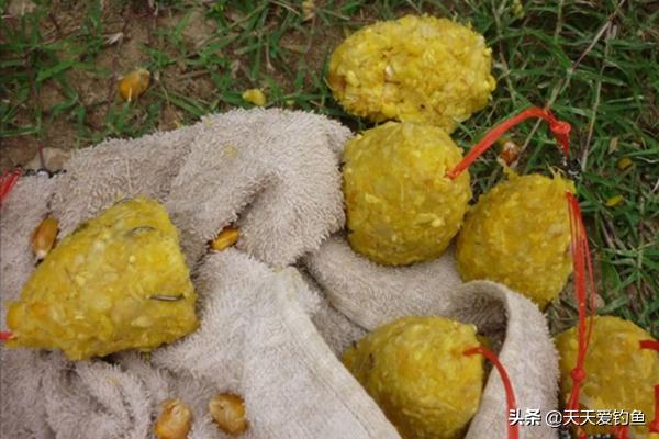 海竿钓草鱼爆炸钩和翻板钩,海竿爆炸钩用什么饵钓鲤鱼草鱼