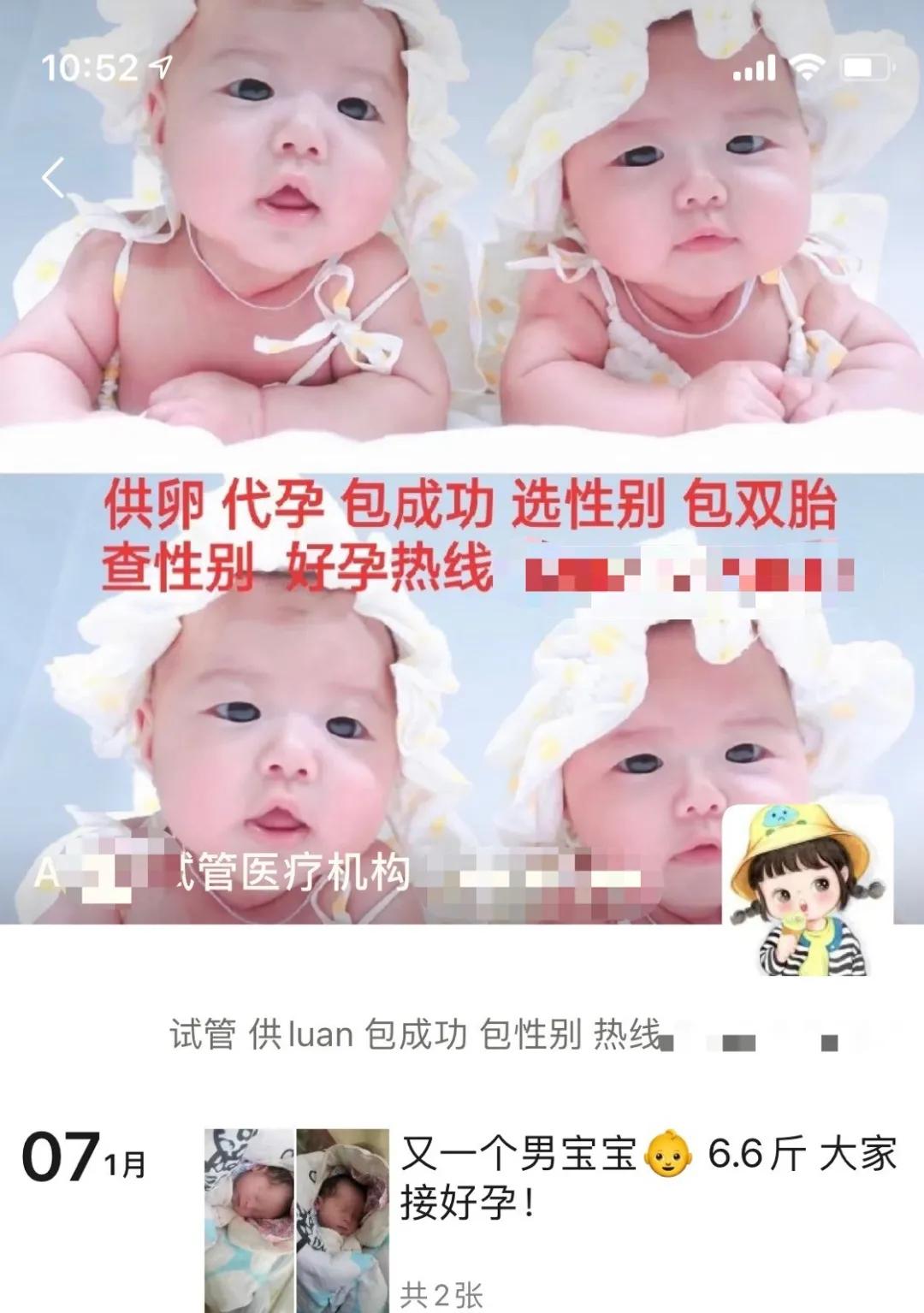 捐卵对女人有害吗,代孕捐卵是什么意思