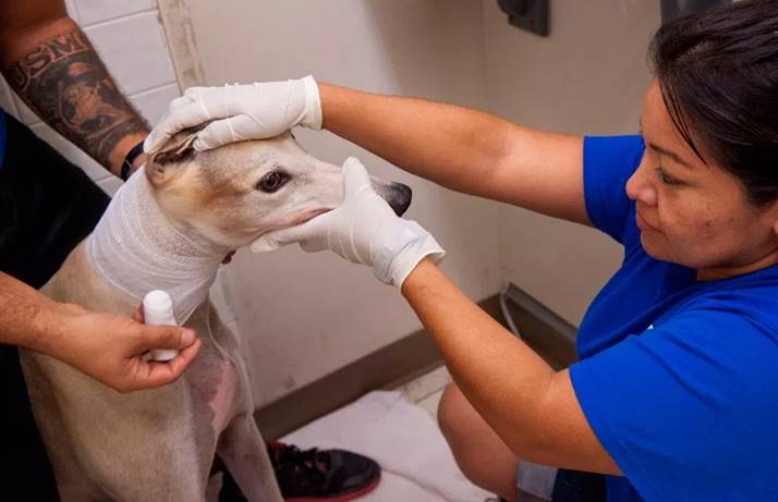 血槽已空下一句,血槽已空