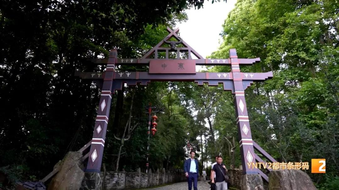 走向我们的小康生活完整视频,走向我们的小康生活粤语