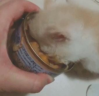 小孩生病治愈后吃什么,孩子生病了吃什么快速恢复体力