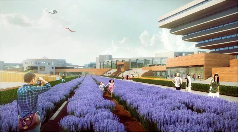 曹晓昕：单一的局域设计会死未来需要跨域的全尺度链设计