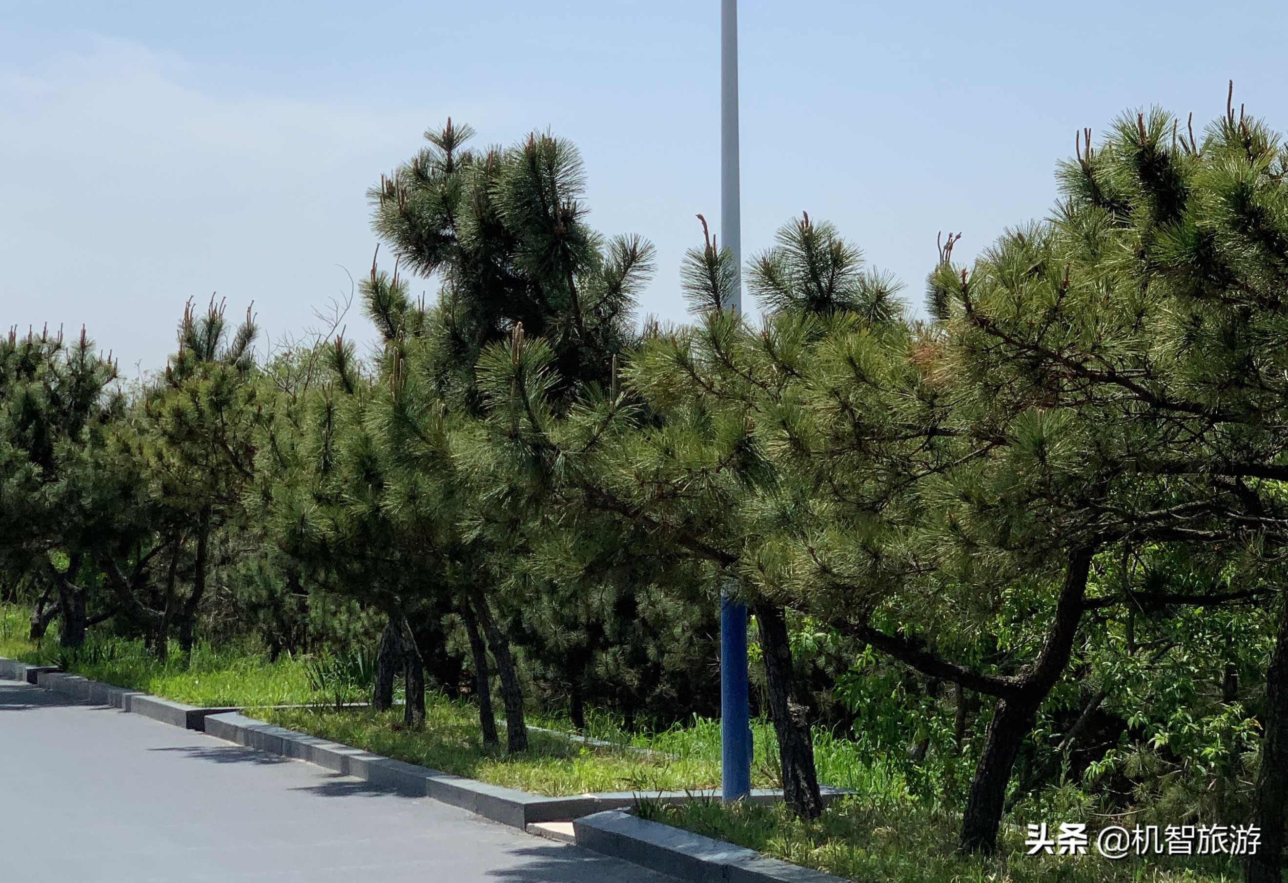 日照旅行住宿吃海鲜最全的本地人攻略，一定能够帮到你