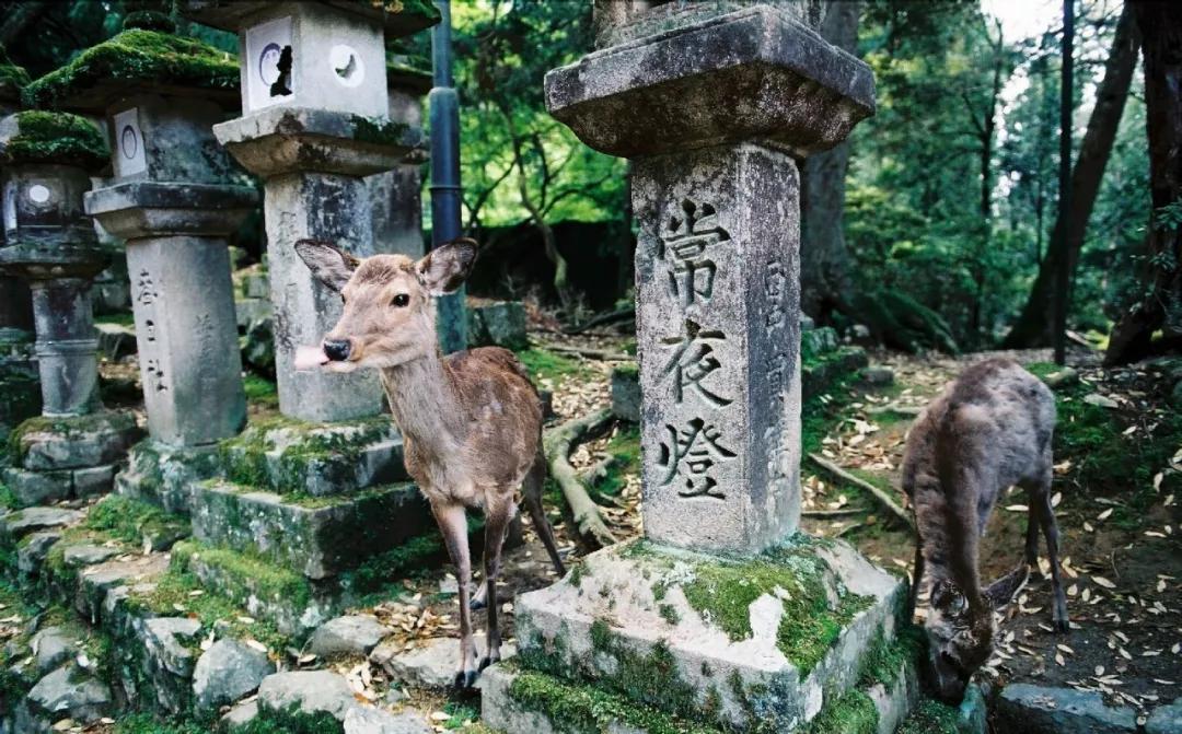 古城观世界,古城看平遥