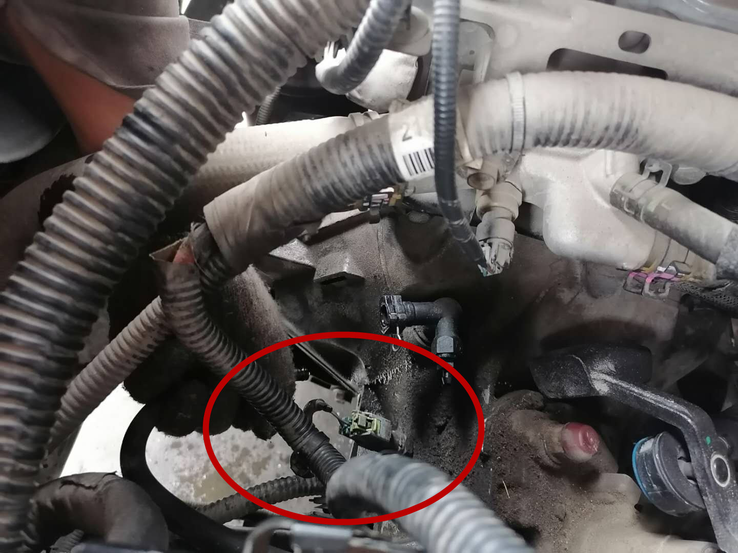 科鲁兹换了离合分泵挂挡不会走,科鲁兹分离轴承老是泄压怎么回事