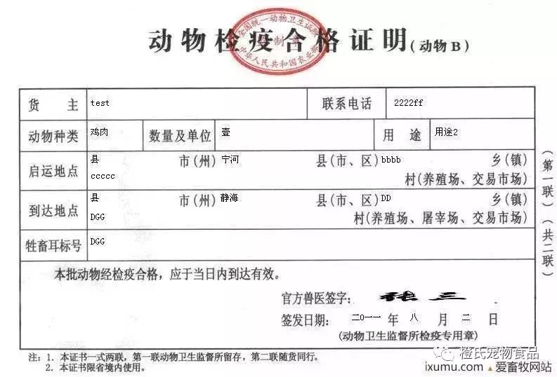 专业宠物托运飞机怎么带小狗,宠物托运需要宠物满足什么条件