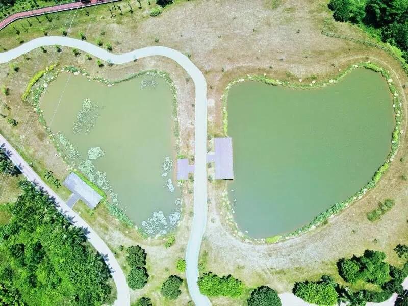 深圳十佳免费湿地公园,深圳十大免费公园排行榜最新名单