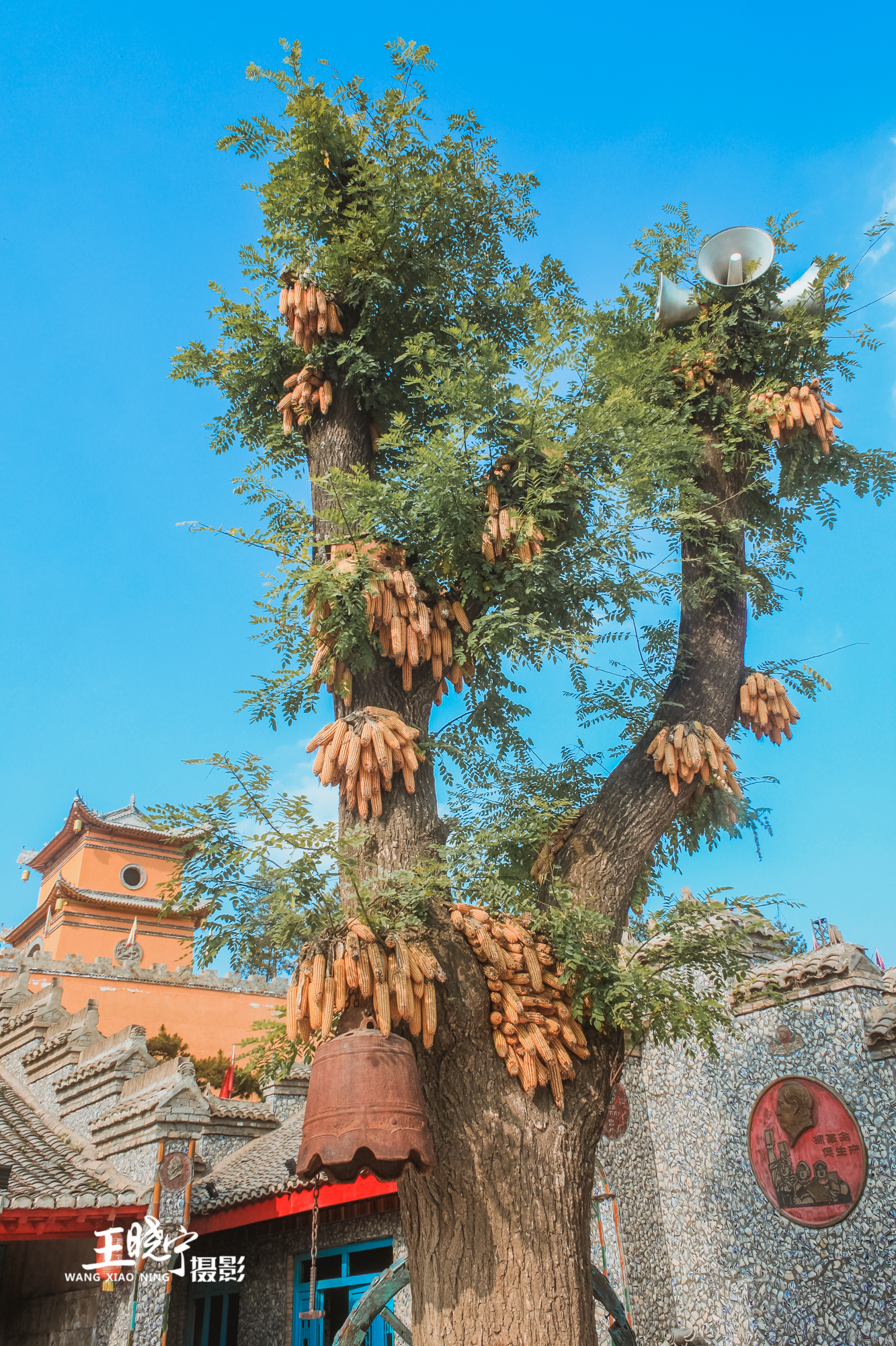 甘肃省庆阳市庆城县有啥旅游景点,庆州玻璃栈道视频