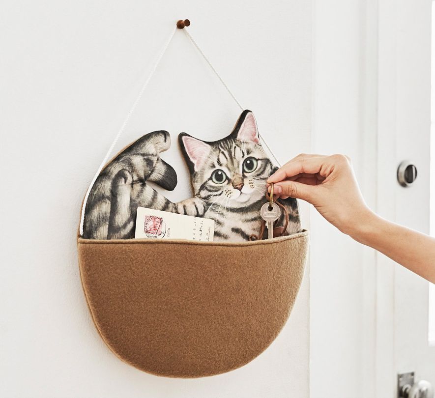 日本人又来骗猫奴们的钱啦!但我心甘情愿掏钱了!