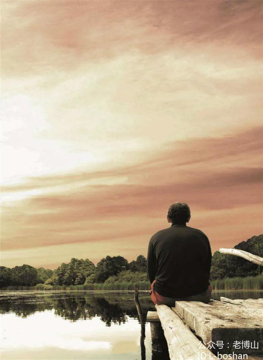 秋风起乌桕红,秋风起刘禹锡