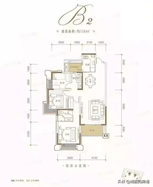 种了20年的铁树终于开花了,养了几十年的铁树终于开花了