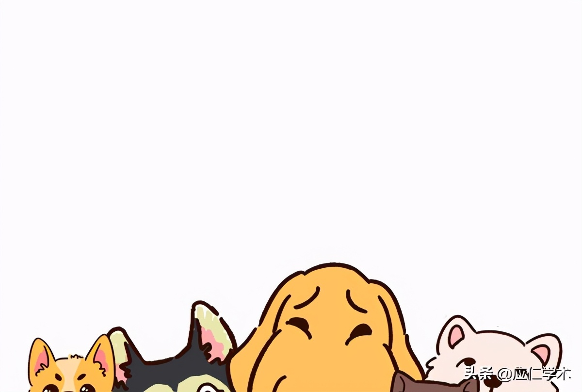 医学论文写作技巧,论文写作万能模板