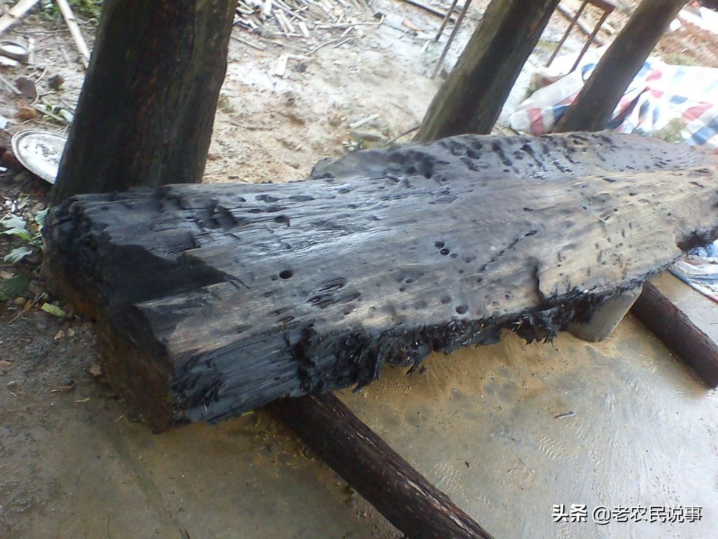 俗语：宁烧紫檀，不舍阴沉木，为啥？阴沉木很贵吗？如何辨真假？