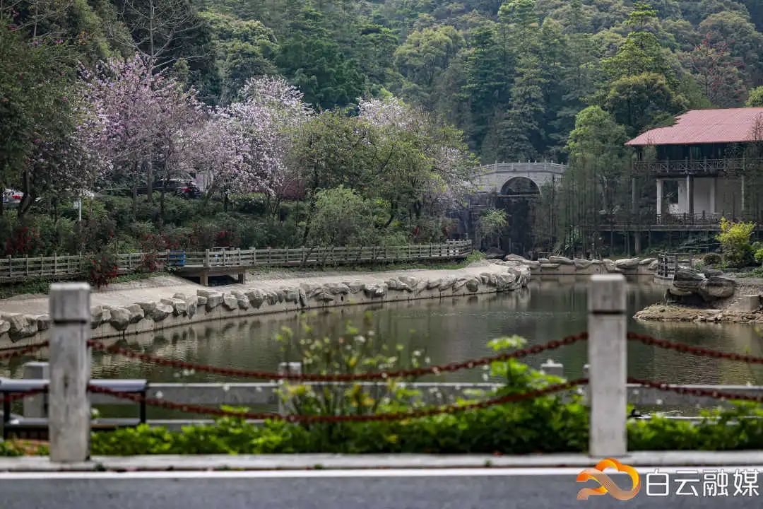 走一起去看美丽的风景,走一起去看美好的风景