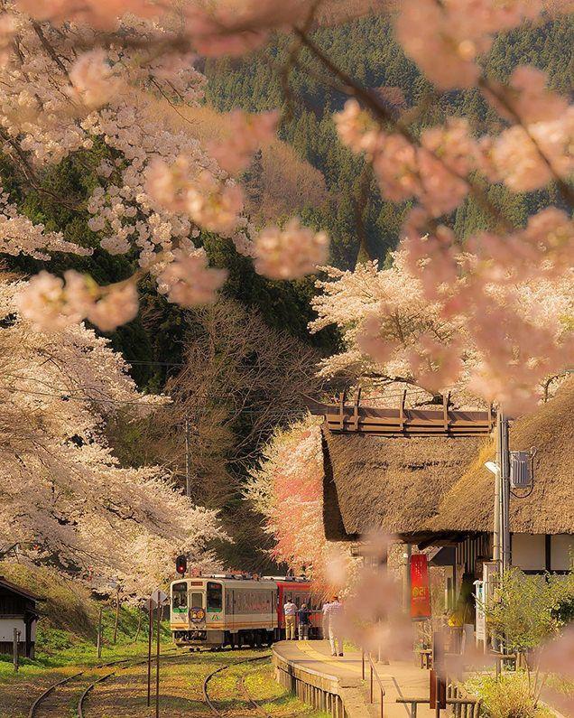 旅游西双版纳跟团游坑不坑 (泰国跟团游防坑2017)