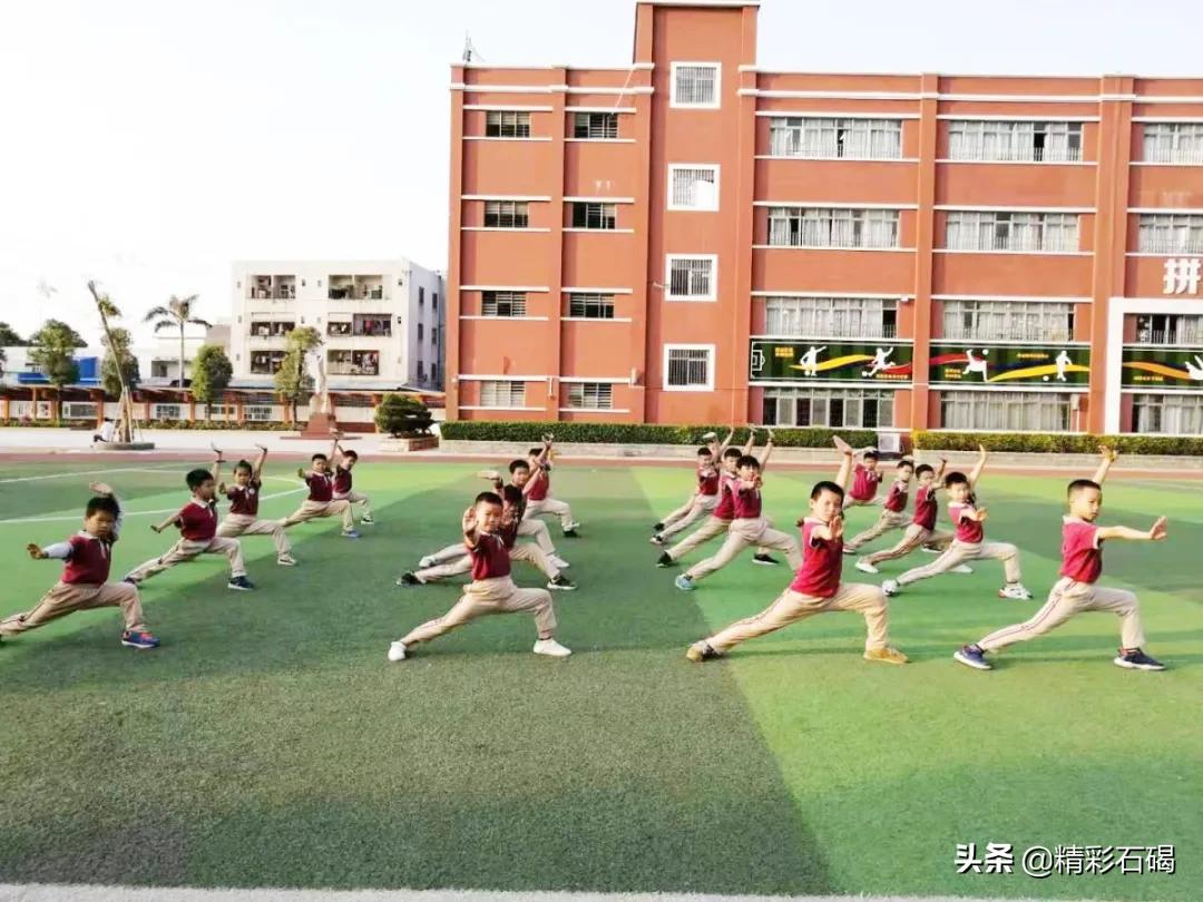 石碣四海学校排名,石碣四海小学招生简章