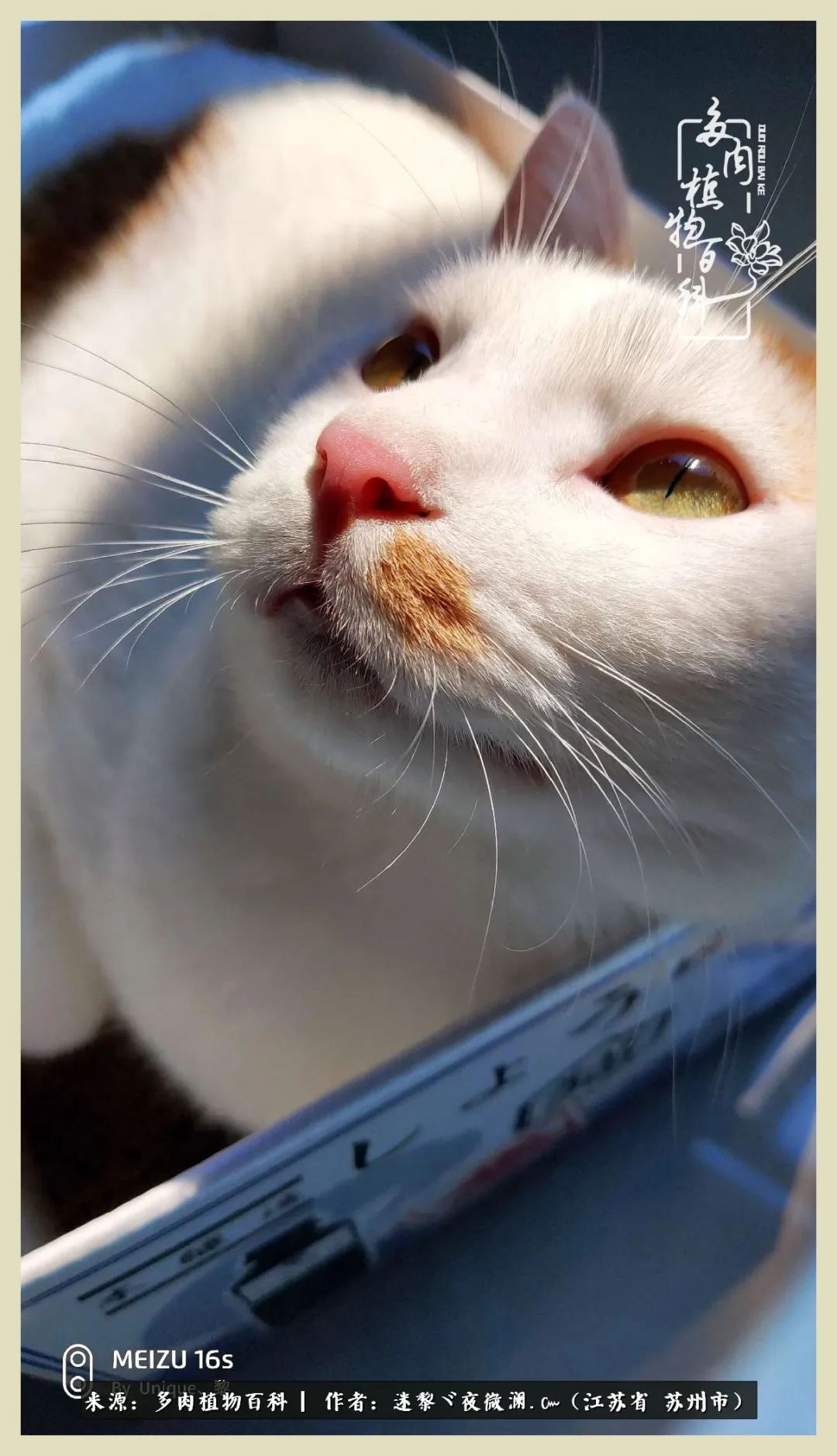 秋尽冬来岁月不居时节如流,岁月不居时节如流水