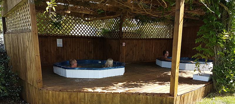 新西兰自然主义公园,新西兰向全世界开放