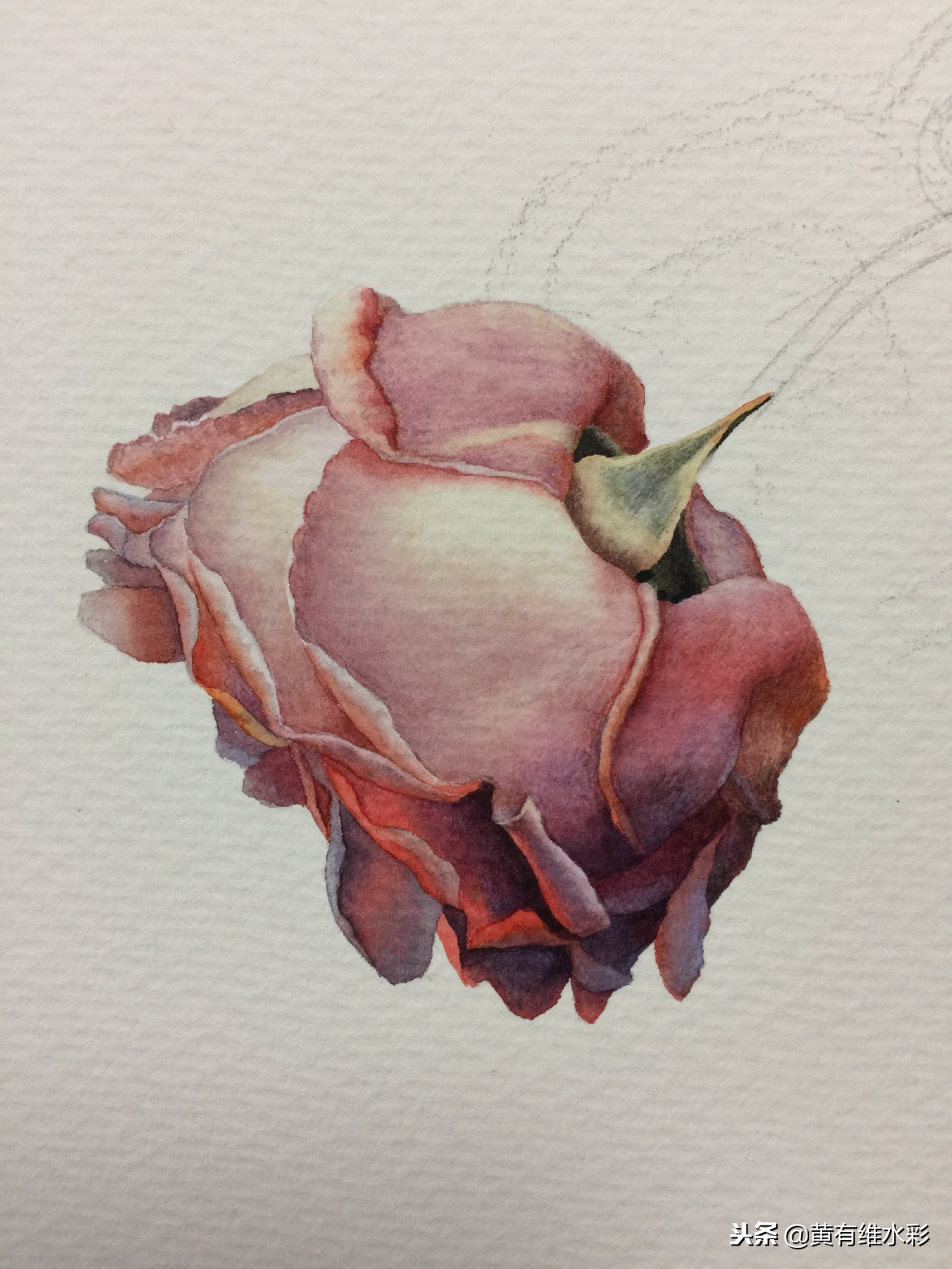 水彩教程简单好看手绘图片,水彩教程画花