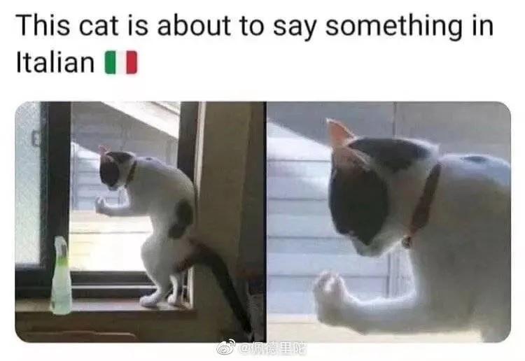 不愧是意大利人,不愧是意大利人阅读理解