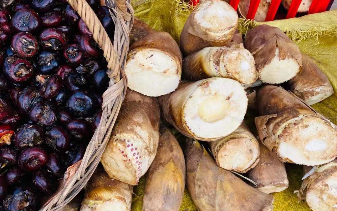 菜市小趣（社会扫描）