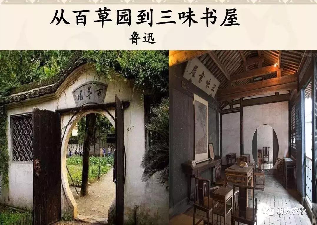 小时候不懂长大了才看懂了,长大了才看懂课文