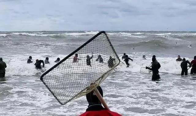 海边捡瓶子赚钱,国外捡蜜蜡