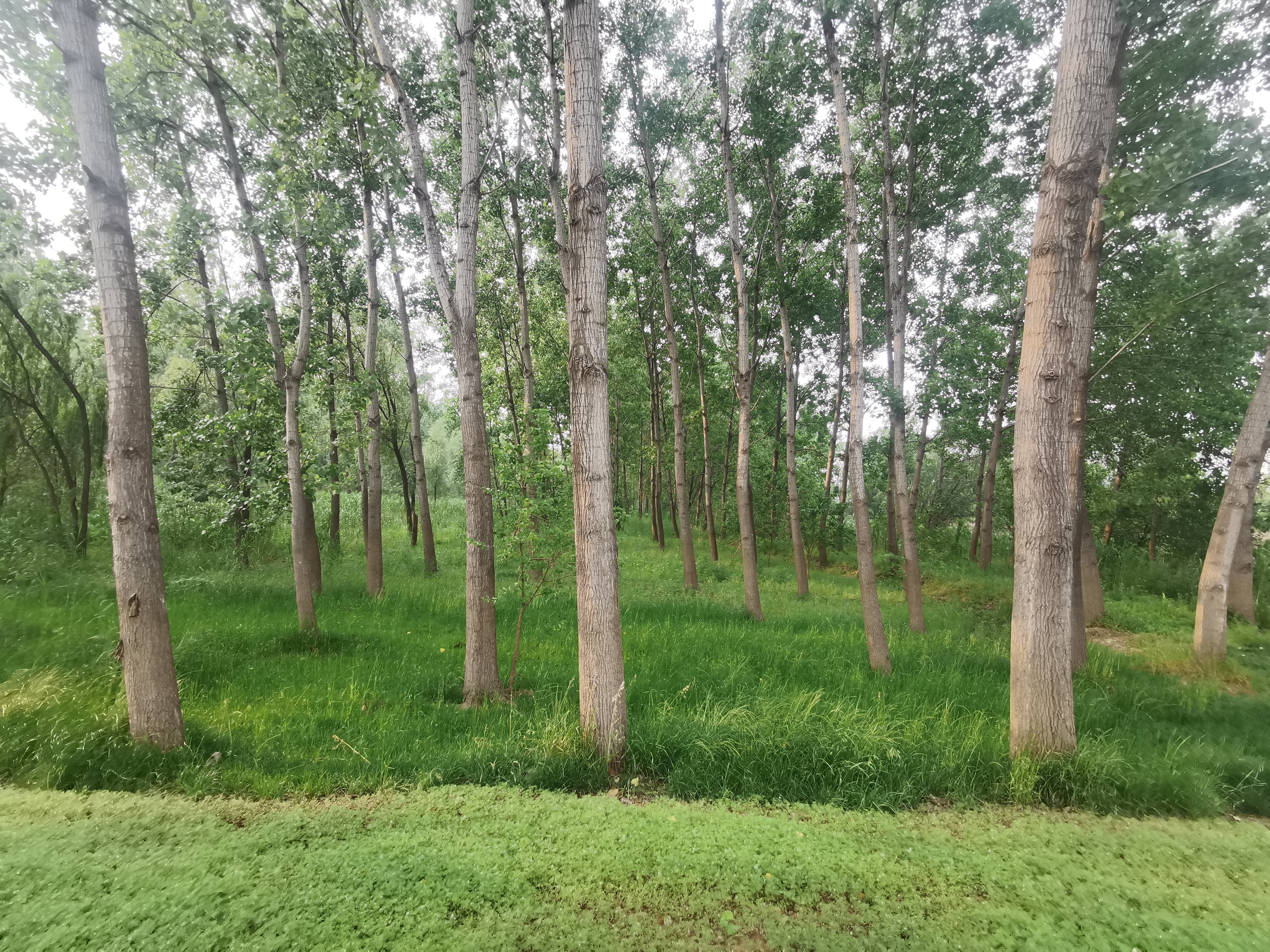 曾经的脏乱差变成了现在的新景观,从面目全非到焕然一新