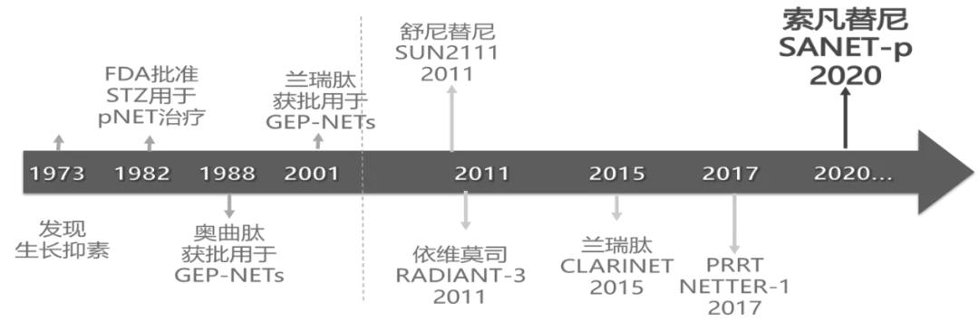 胰腺神经内分泌瘤免疫组化指标,胰腺神经内分泌肿瘤的靶向治疗