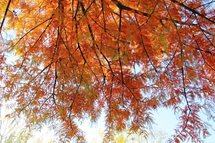 尼康入门单反,单反快速入门攻略