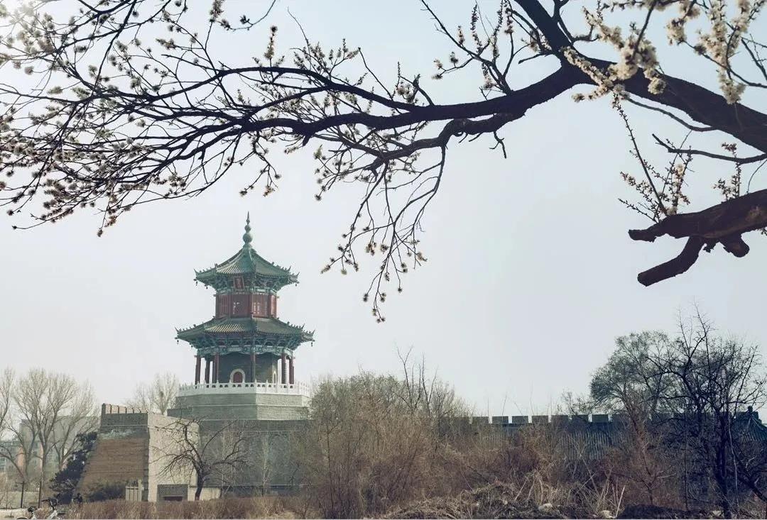 辽阳迎春灯会,辽阳迎春晚会