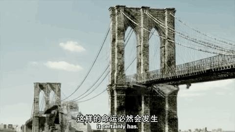 海豚“杰克”在暗礁海域为船只引航41年,爱让我们更懂得善待生命