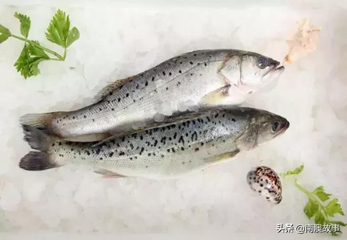 南澳渔民捕鱼视频,南澳渔民出海