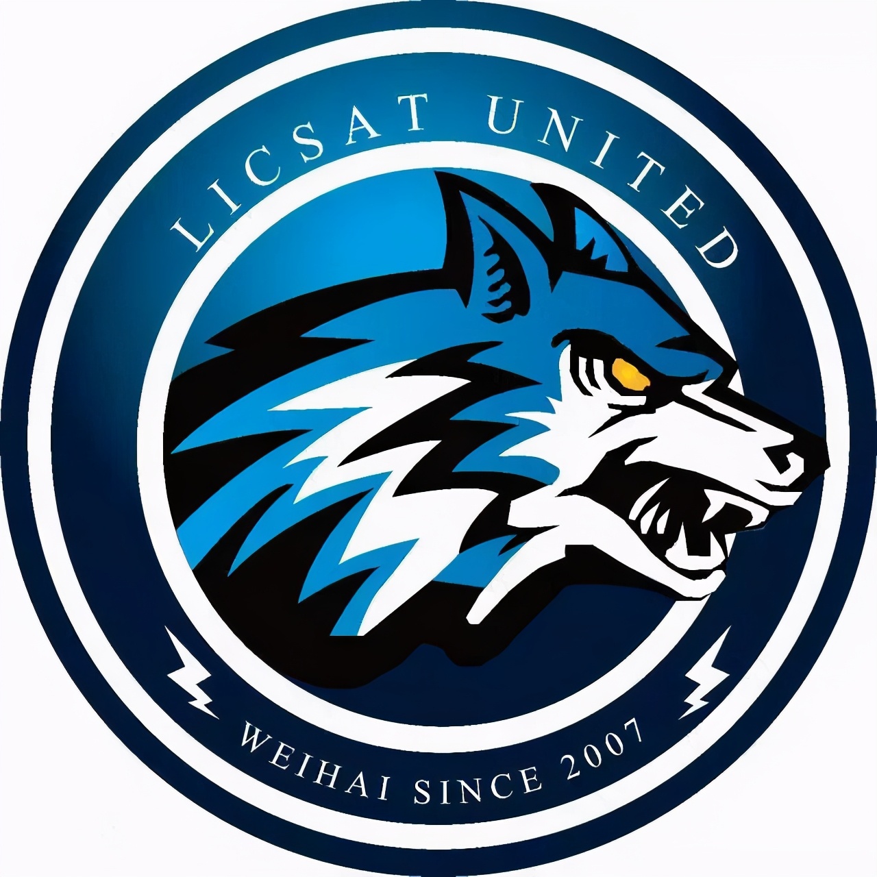 山东省青少年足球联赛队徽,山东省队徽章