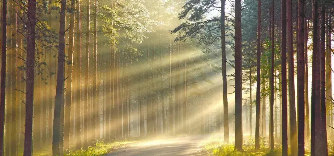 农村康养项目开发,收藏土地