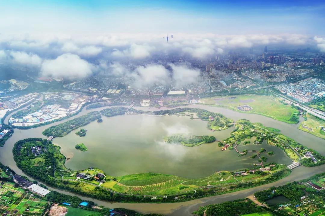 广州吃海鲜最便宜的地方2018年,广州的海鲜哪里又新鲜又便宜