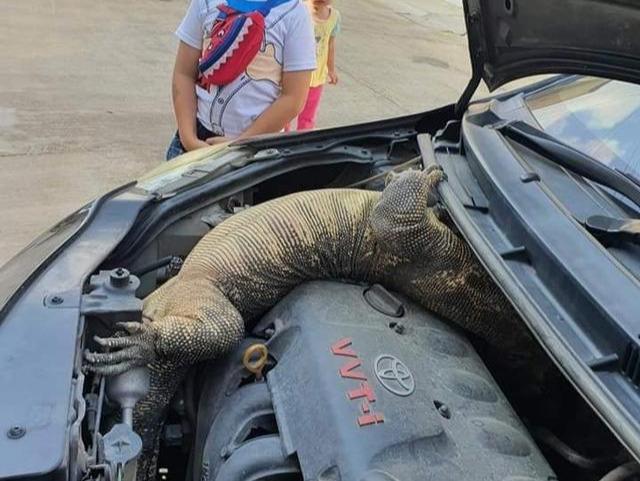 男子发现爱车被砸,男子发现自家车被剐蹭