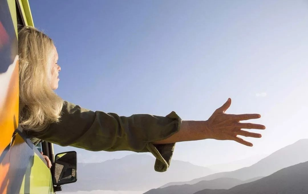 开车撞了小动物怎么处理,开车高速路上撞到小动物怎么化解