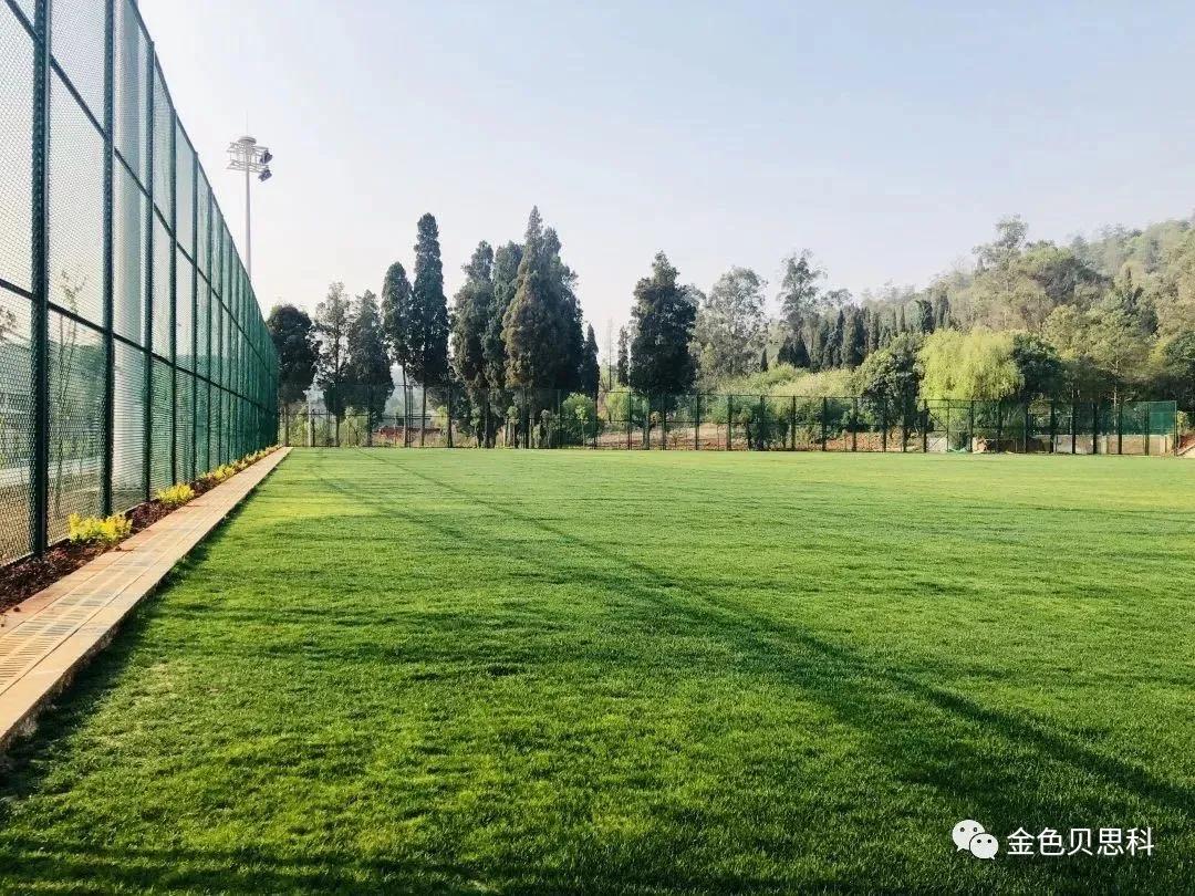 昆明足球特色学校排名前十,2022云南校园足球特色校