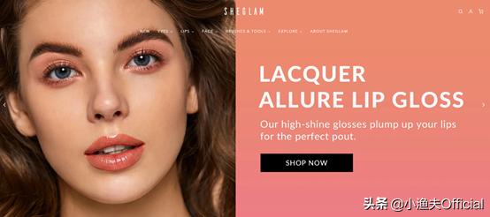 shein跨境电商平台怎么样 (shein跨境电商如何运营)