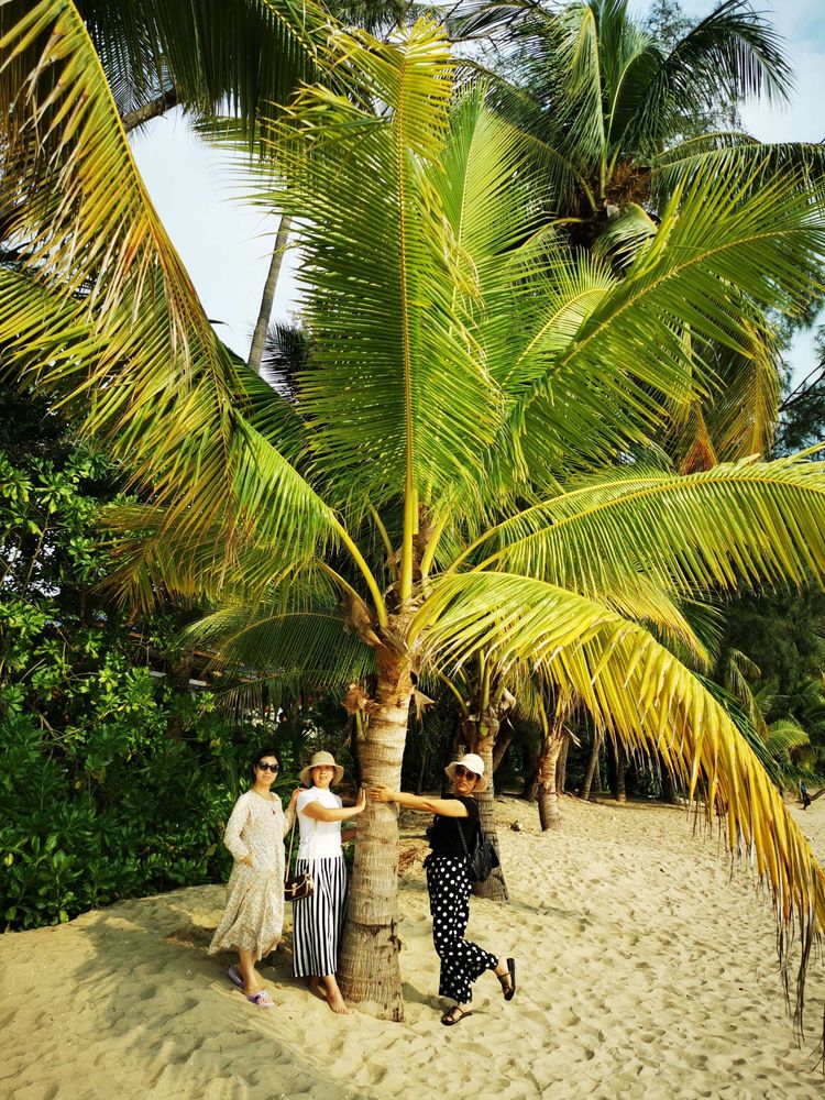 三亚冲浪旅行攻略,去三亚旅游看海