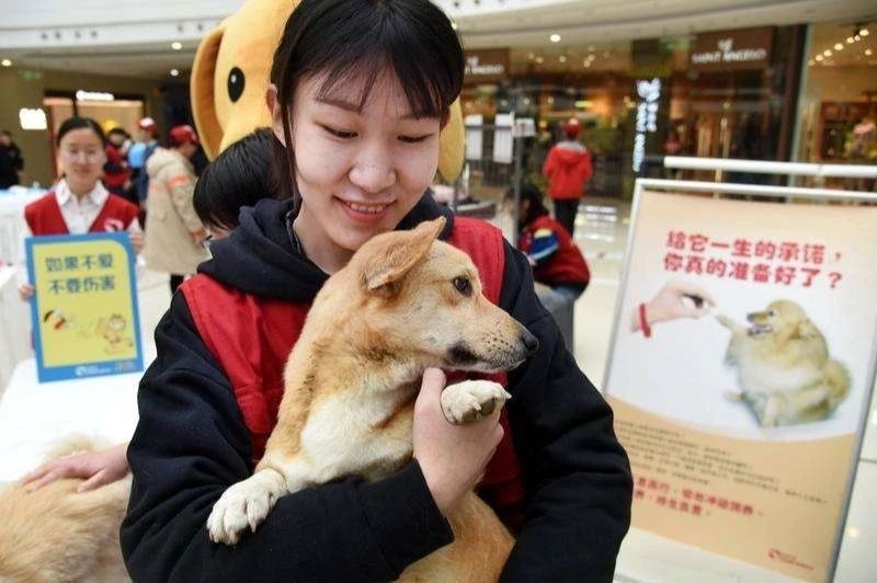 21号线街舞争霸赛,2023街舞总决赛在哪个频道直播